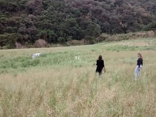 Terreno / Lote para Venda em Bom Retiro/SC Serra do Campo Novo