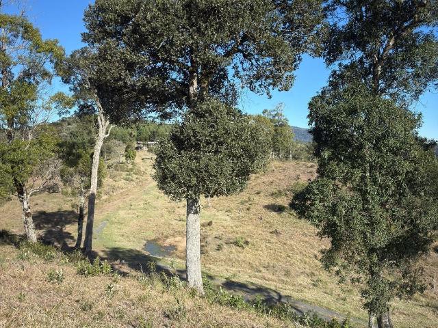 Terreno / Lote para Venda em Bom Retiro/SC Serra do Campo Novo
