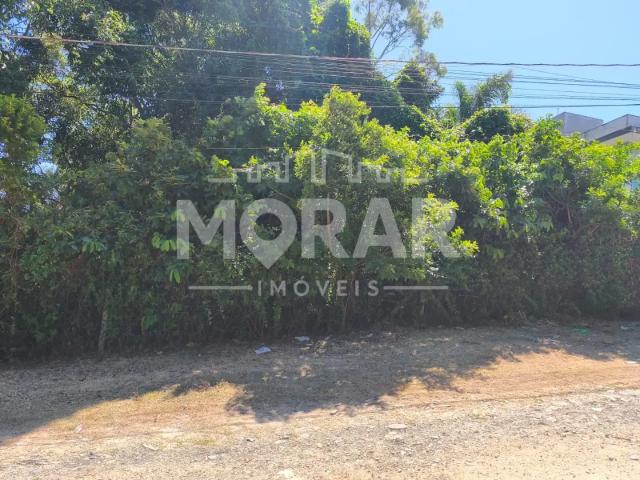 Terreno / Lote para Venda em Bombinhas/SC Zimbros