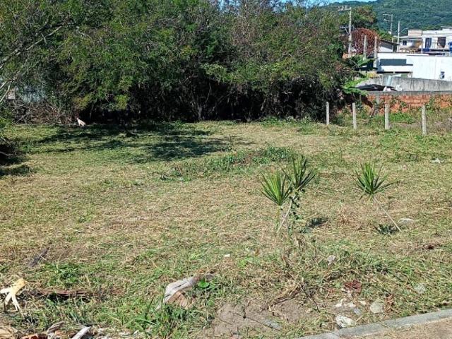 Terreno / Lote para Venda em Bombinhas/SC Bombas