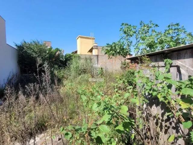 Terreno / Lote para Venda em Bombinhas/SC Bombas