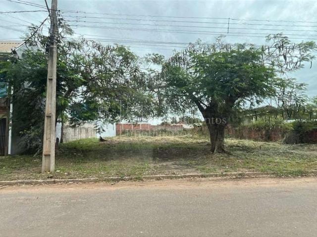 Terreno / Lote para Venda em Bonito/MS Centro