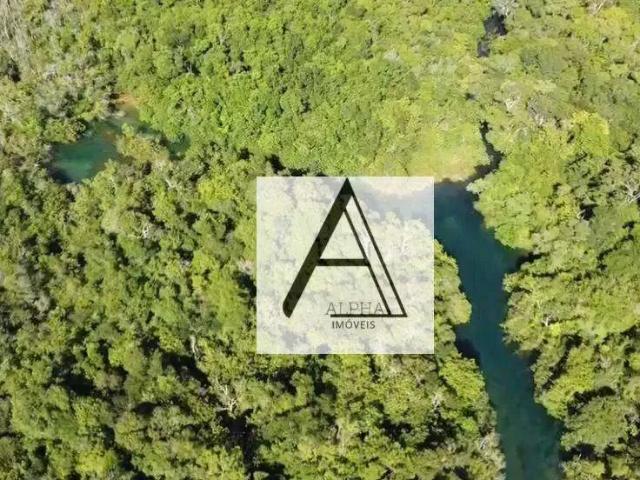 Terreno / Lote para Venda em Bonito/MS Formoso