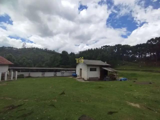 Terreno / Lote para Venda em Bocaiúva do Sul/PR Área Rural 2 Quartos