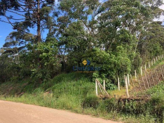 Terreno / Lote para Venda em Bocaiúva do Sul/PR Centro