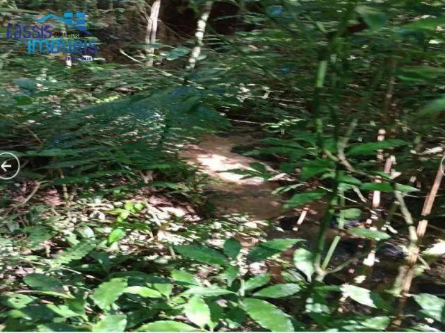 Terreno / Lote para Venda em Bocaiúva do Sul/PR Centro
