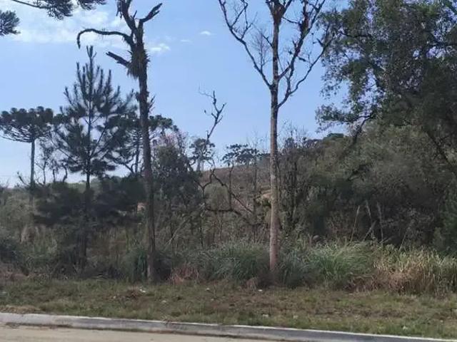 Terreno / Lote para Venda em Bocaiúva do Sul/PR Palmeirinha