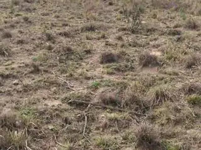 Terreno / Lote para Venda em Bocaiúva do Sul/PR Palmeirinha