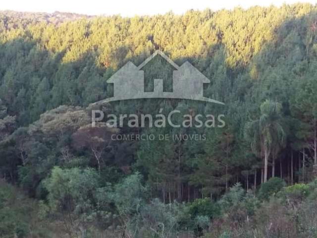 Terreno / Lote para Venda em Bocaiúva do Sul/PR Rio Abaixo