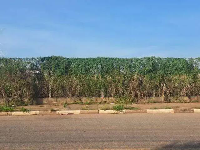 Terreno / Lote para Venda em Boituva/SP Jardim Hermínia