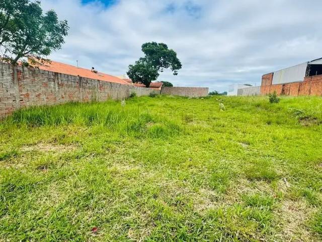 Terreno / Lote para Venda em Botucatu/SP Jardim Tropical