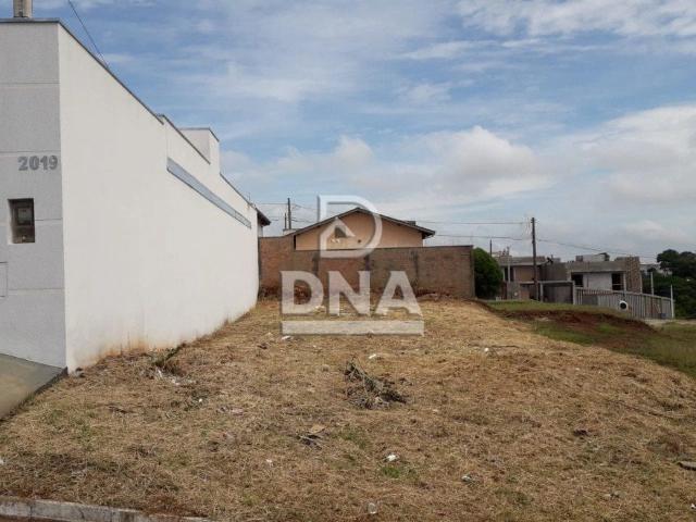 Terreno / Lote para Venda em Botucatu/SP Jardim Ypê