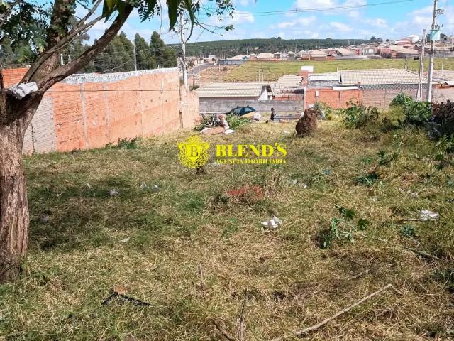 Terreno / Lote para Venda em Botucatu/SP Jardim Botucatu Rubião Júnior