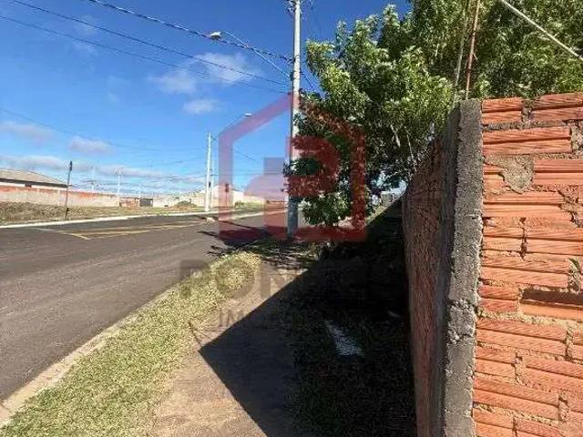 Terreno / Lote para Venda em Botucatu/SP Jardim Botucatu Rubião Júnior