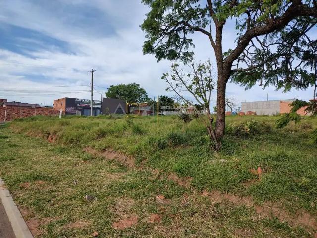 Terreno / Lote para Venda em Botucatu/SP Jardim Botucatu Rubião Júnior