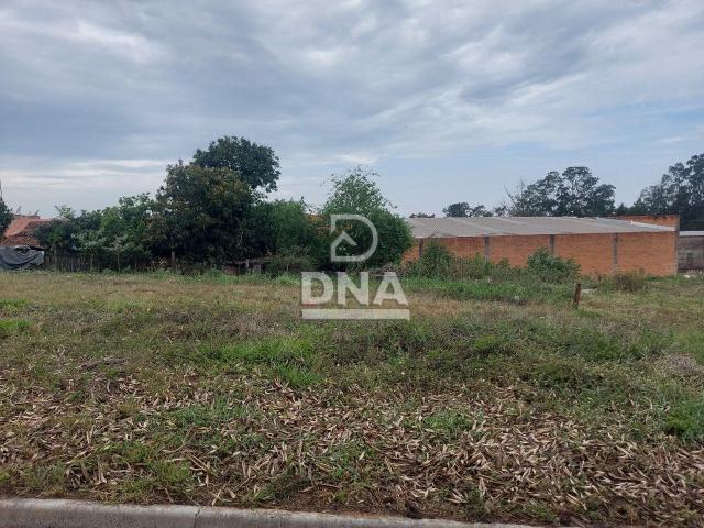 Terreno / Lote para Venda em Botucatu/SP Jardim Riviera