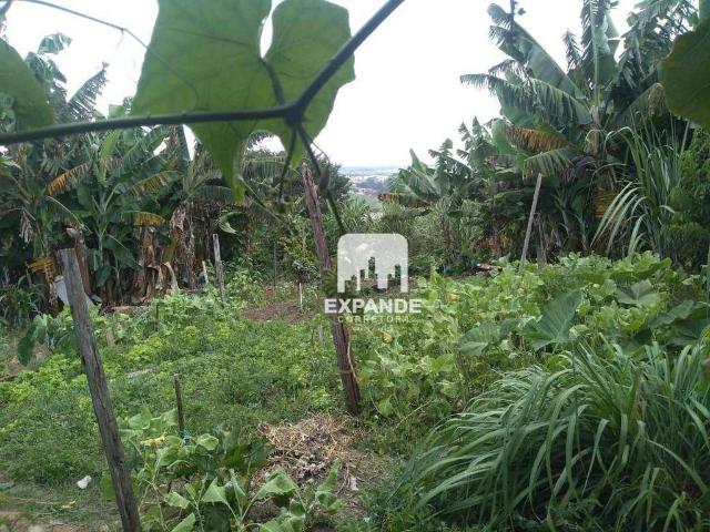 Terreno / Lote para Venda em Botucatu/SP Jardim Santa Eliza