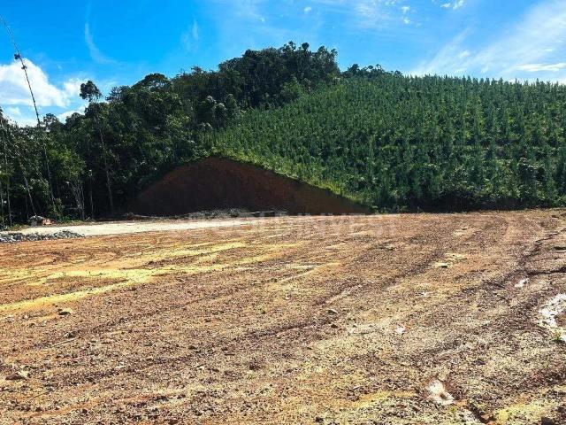 Terreno / Lote para Venda em Botuverá/SC Águas Negras