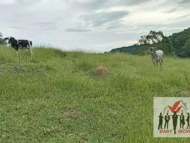 Terreno / Lote para Venda em Botelhos/MG Centro