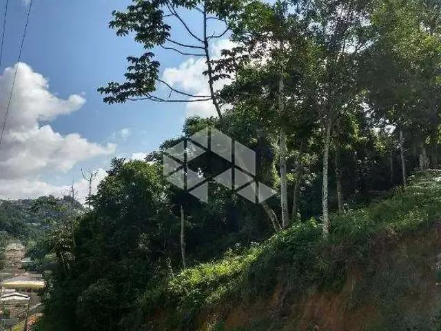 Terreno / Lote para Venda em Blumenau/SC Água Verde