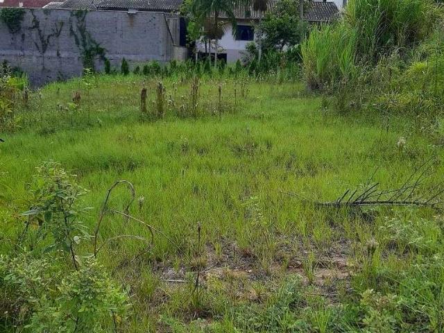 Terreno / Lote para Venda em Blumenau/SC Água Verde