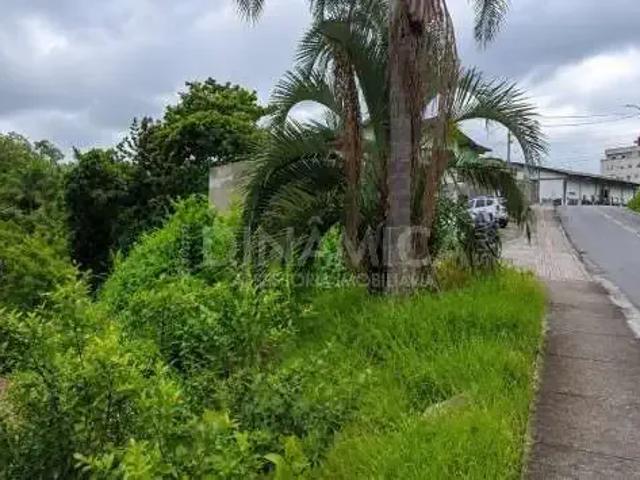 Terreno / Lote para Venda em Blumenau/SC Água Verde