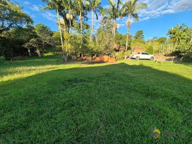 Terreno / Lote para Venda em Blumenau/SC Badenfurt
