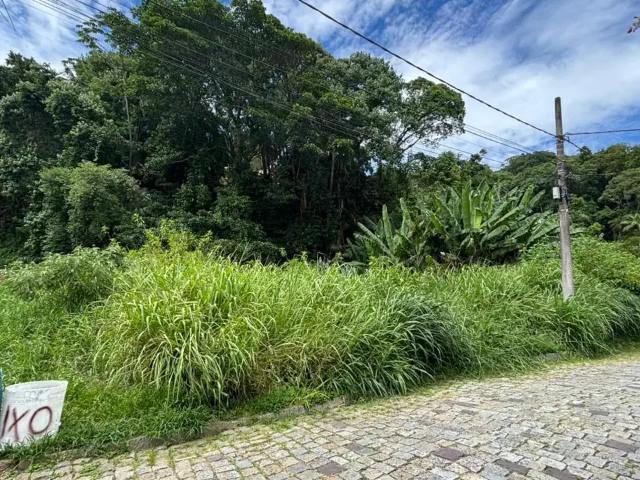 Terreno / Lote para Venda em Blumenau/SC Centro