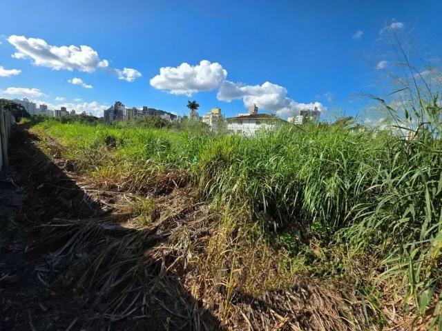 Terreno / Lote para Venda em Blumenau/SC Centro