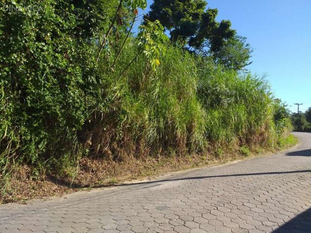 Terreno / Lote para Venda em Blumenau/SC Do Salto
