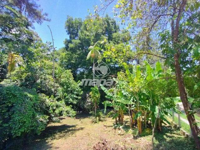 Terreno / Lote para Venda em Blumenau/SC Do Salto