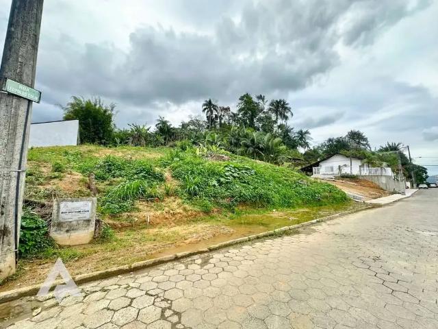 Terreno / Lote para Venda em Blumenau/SC Escola Agrícola