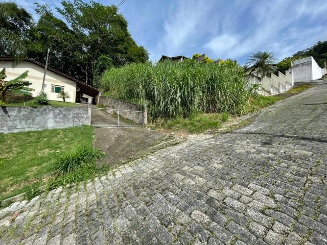 Terreno / Lote para Venda em Blumenau/SC Escola Agrícola