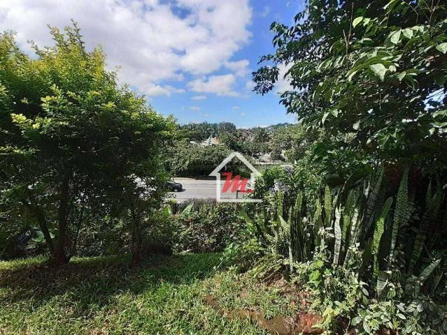 Terreno / Lote para Venda em Blumenau/SC Escola Agrícola