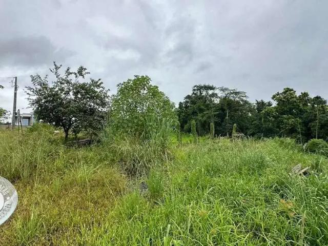 Terreno / Lote para Venda em Blumenau/SC Escola Agrícola