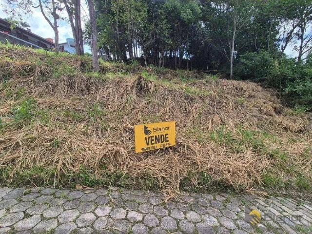 Terreno / Lote para Venda em Blumenau/SC Escola Agrícola