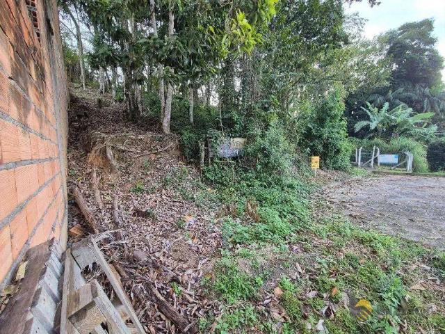 Terreno / Lote para Venda em Blumenau/SC Escola Agrícola