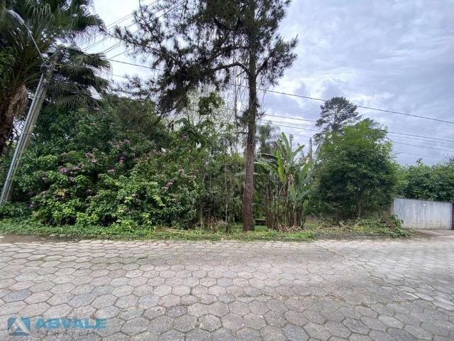 Terreno / Lote para Venda em Blumenau/SC Escola Agrícola