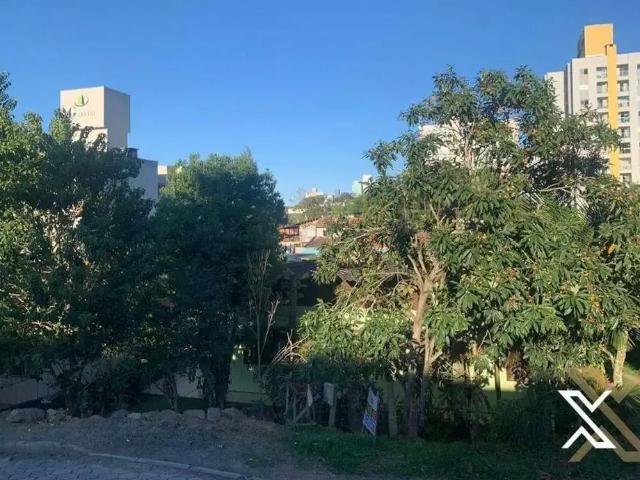 Terreno / Lote para Venda em Blumenau/SC Escola Agrícola