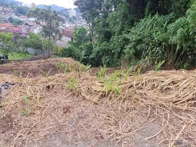 Terreno / Lote para Venda em Blumenau/SC Escola Agrícola