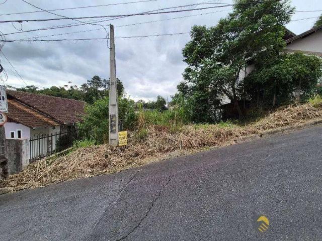 Terreno / Lote para Venda em Blumenau/SC Escola Agrícola