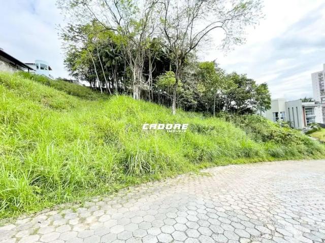 Terreno / Lote para Venda em Blumenau/SC Escola Agrícola