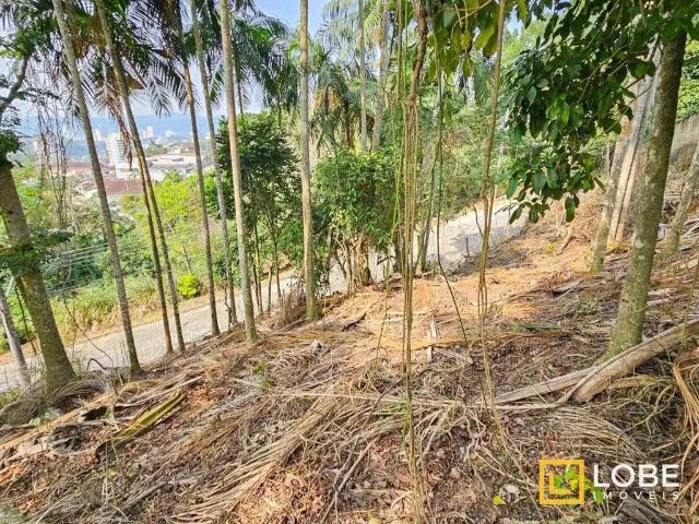 Terreno / Lote para Venda em Blumenau/SC Escola Agrícola