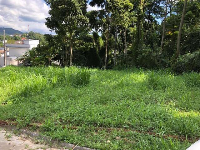 Terreno / Lote para Venda em Blumenau/SC Escola Agrícola