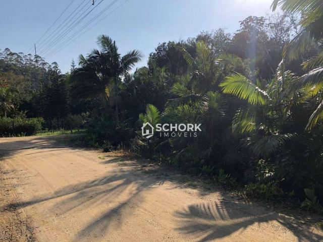 Terreno / Lote para Venda em Blumenau/SC Fidélis