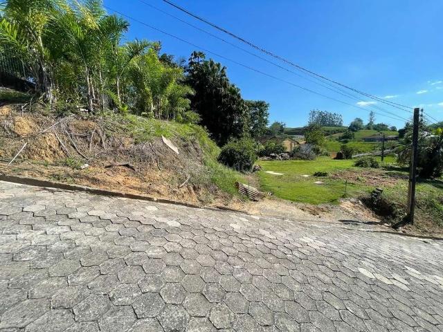 Terreno / Lote para Venda em Blumenau/SC Fidélis