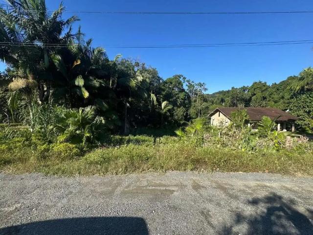 Terreno / Lote para Venda em Blumenau/SC Fidélis
