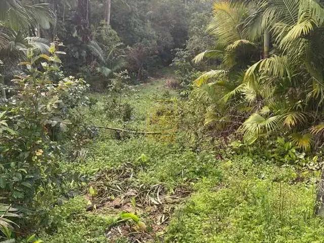 Terreno / Lote para Venda em Blumenau/SC Fidélis