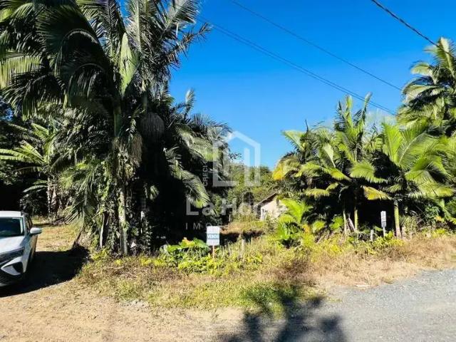 Terreno / Lote para Venda em Blumenau/SC Fidélis