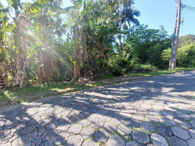 Terreno / Lote para Venda em Blumenau/SC Fidélis